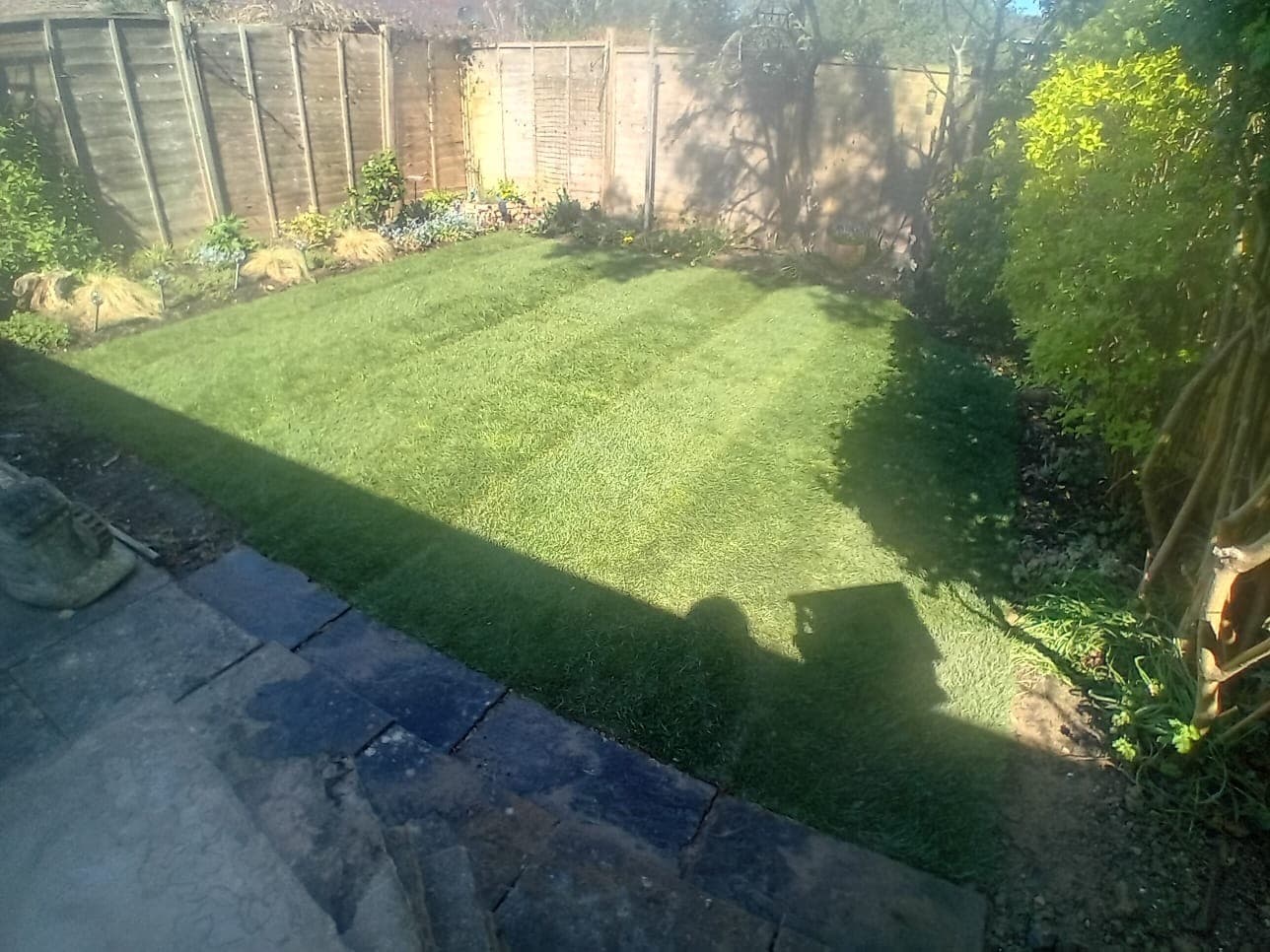 After – new lawn in Steyning after full ground preparation and returfing