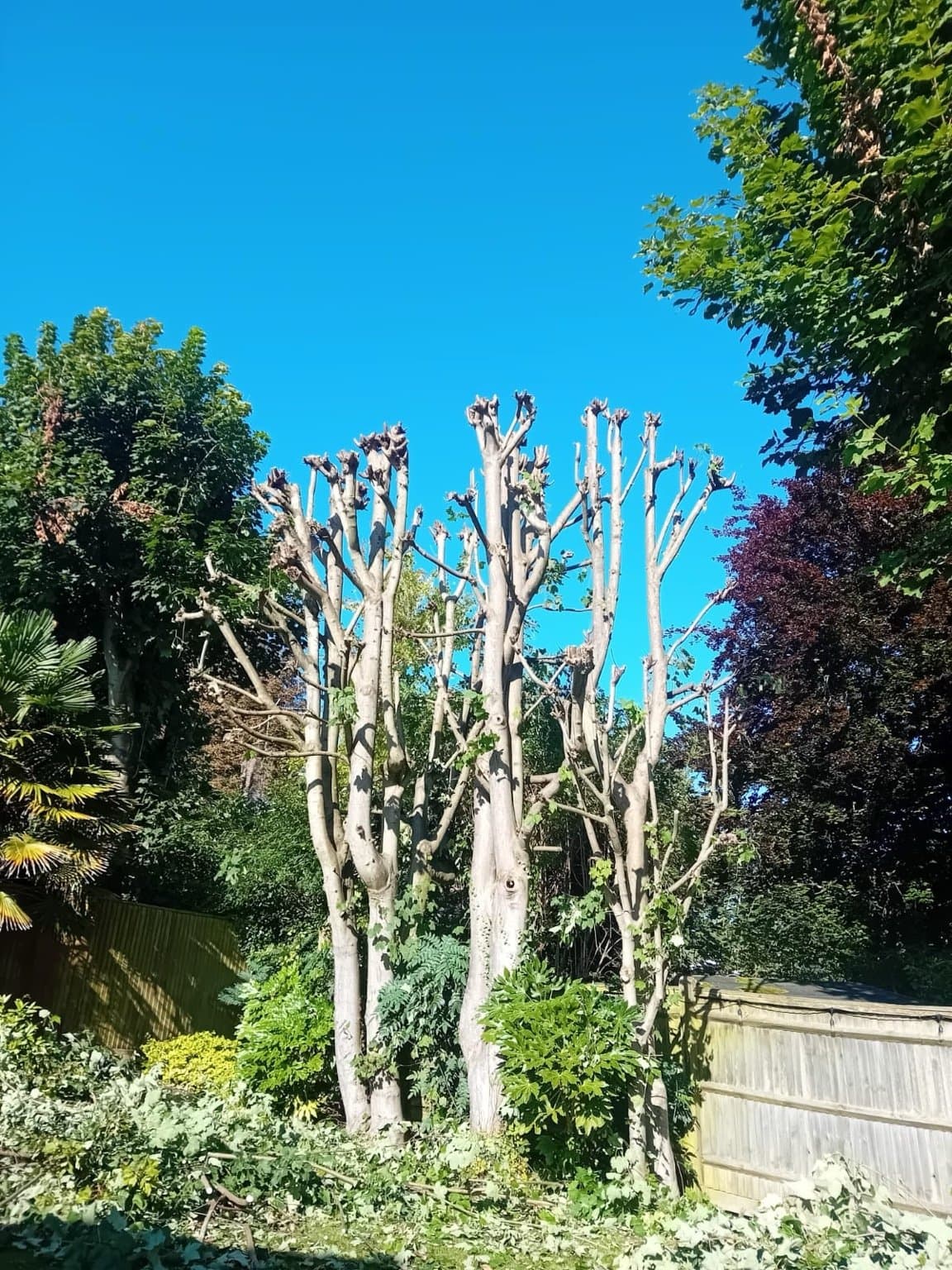 Full landscaping job including turfing, fencing and patio installation